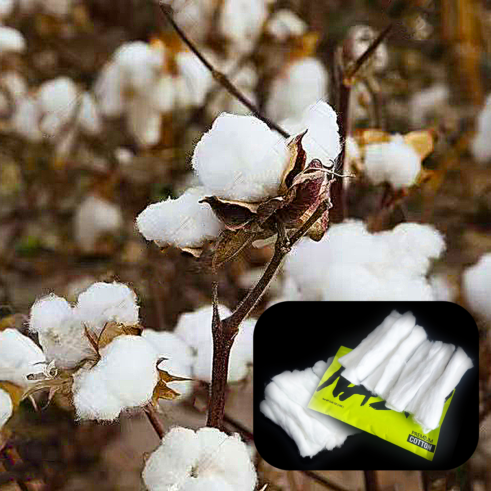 10/5/3Packs Home DIY Natural C – Cotton Wick Organic Bewertung und Preis