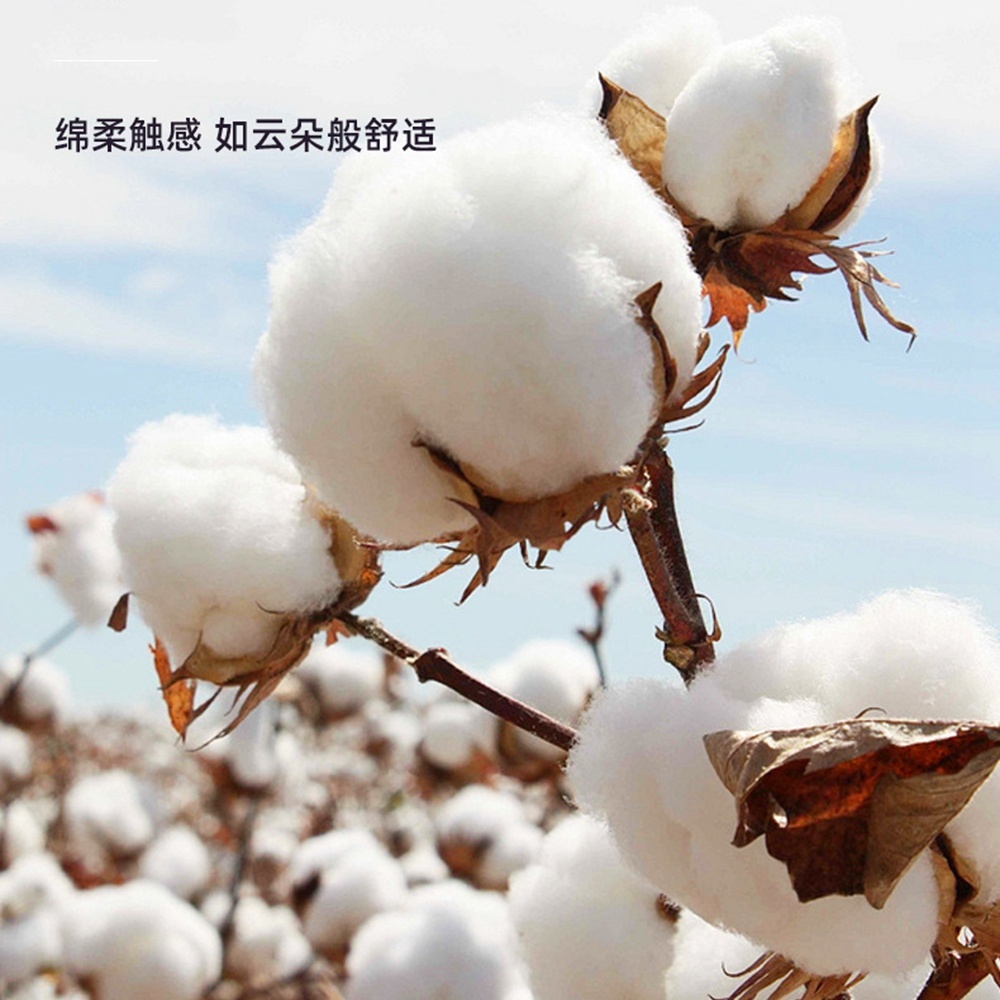 5.0/3.0/2.5mm Rubber Head Orga – Cotton Wick Organic Bewertung und Preis