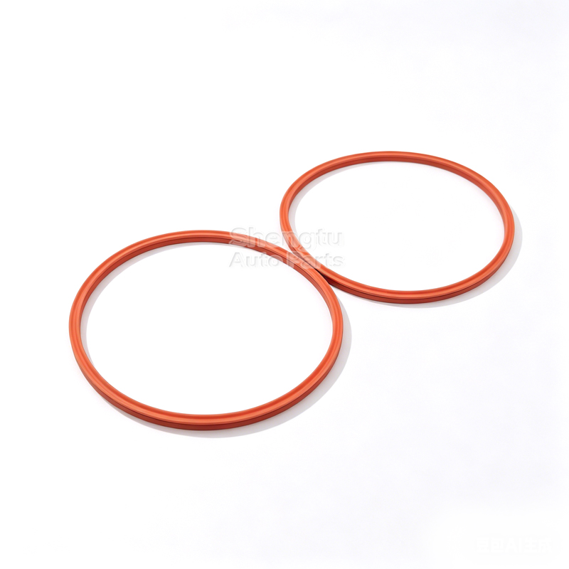 2Pcs Fuel Pump Tank Seal O-Rin – Tank O-Ring Seal Bewertung und Preis